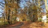 Randonnée Vélo Waimes - Province de Liège tourisme - Le lac de Bütgenbach - Photo 15