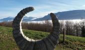 Tour Wandern Chantesse - vatilieu - Photo 7
