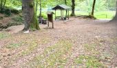 Excursión Senderismo Bouillon - Au départ de l'abbaye de Cordemois  - Photo 4