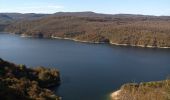 Randonnée Marche Moirans-en-Montagne - Le Regardoir - Photo 1