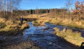 Trail Walking Waimes - Sourbrodt Fagne (Eau Noire) - Photo 2