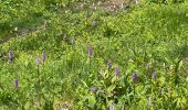Trail Walking Entraunes - Cols de Sanguiniere et de la Baïssa - Photo 3