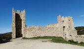 Randonnée Marche La Crau - Chapelle du Fenouillet & Château de Hyères - Photo 11