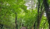 Randonnée Marche Esneux - Esneux - Parc du Mary - Photo 4
