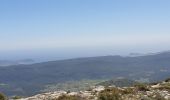 Tocht Stappen Plan-d'Aups-Sainte-Baume - Le pas de la Cabre - le col de Bretagne  - L'Hotellerie - Photo 1