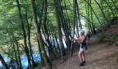 Trail Walking Houffalize - Les deux Ourthes au départ de Filly - Photo 18