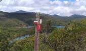 Excursión Bici de montaña Mont Dore - source thermale des kaoris de Prony  - Photo 3