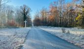 Percorso Marcia Saint-Jean-aux-Bois - en forêt de Compiègne_44_sur les Routes du Moulin et de Berne - Photo 10