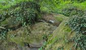 Randonnée Marche Nogent-le-Bernard - Nogent-le-Bernard - Menhir de Courtevrais - Photo 12