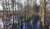 Tocht Te voet South Holland - Willow Tree Fen Green perimeter route - Photo 8