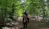 Trail Horseback riding Habay - Les 4 fils saumon à cheval - Photo 12