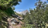 Excursión Senderismo Chamonix-Mont-Blanc - le Péclerey, montroc jusqu'aux Tines juillet 2021 - Photo 1