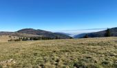 Trail Walking Ranspach - 24 11 16 Autour du Markstein  - Photo 1