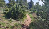 Tocht Stappen La Vacquerie-et-Saint-Martin-de-Castries - La Vacquerie St Guilhem  - Photo 10