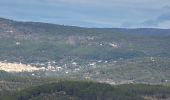 Tour Wandern Le Muy - La Combe Renaude et le Pic Rébéquier - Photo 16