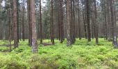 Trail Walking Waimes - petit tour en Brackvenn  - Photo 19
