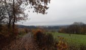 Tocht Stappen Theux - jehanster . surister . ancien moulin de jalhay . jehanster - Photo 12