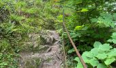Trail Walking Houyet - Gendron-gare août 2025 - Photo 20