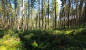 Tour Wandern Hohenfels - Balade à Houffalize - Photo 9