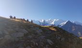 Trail Walking Chamonix-Mont-Blanc - TAR3 -  Tour des Aiguilles Rouges J3 - Bellachat -  Moede-Anterne - Photo 13