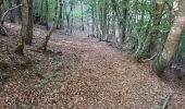 Trail Walking Prévenchères - BOUCLE AUTOUR DU CROUZET (PREVENCHERES) - Photo 10