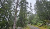 Excursión Senderismo Passy - J10 - R8 - Plaine Joux - Les Ayères - Lac Vert  - Photo 4