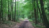 Trail Walking Aywaille - houssonloge . bois du pouhon . trou de bosson . paradis . houssonloge  - Photo 2