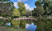 Tour Wandern Maisons-Alfort - Mausobs Alfort bois de Vincennes  - Photo 16