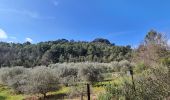 Randonnée Marche Nans-les-Pins - Nans les pins - sources de l'huveaune - Photo 10