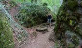 Trail Walking Vic-sur-Cère - Pas de Cère- cascade de Gourdole - Photo 4
