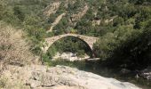 Tour Wandern Ota - Gorge de spelunca  - Photo 2