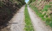Trail Walking Sainte-Ode - BeauPlateau - Photo 4