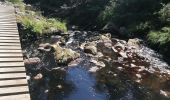 Tocht Stappen Malmedy - Un air de crête  - Photo 2