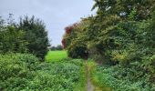 Tour Wandern La Bruyère - Rhisnes 121023 - Photo 3