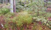 Tocht Stappen Rombach-le-Franc - Col de Fouchy  - Photo 18