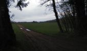 Tocht Mountainbike Virton - Aux sources du Ton  -  Balade_VTT_35kms - Photo 3