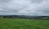 Tour Wandern Libin - rando redu  11-05-2023 - Photo 3