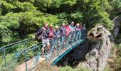 Randonnée Marche Arphy - les cascades d orgon - Photo 5