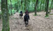 Trail Horseback riding Bastogne - Livarchamps - Surre (LU) 29 août 2021 - Photo 2