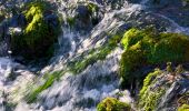 Percorso Marcia Tourves - SityTrail - Tourves- Le Saut du Cabri - Les gorges du Caramy - Photo 5