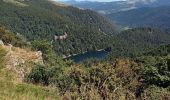 Randonnée Marche La Bresse - Tourbiere Marchey et Lac Rainkopf  - Photo 4