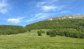 Trail  Omblèze - Plateau d’Ambel - Photo 10
