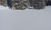 Randonnée Raquettes à neige La Pesse - L'Embossieux - Les Planes - Photo 6