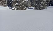 Trail Snowshoes La Pesse - L'Embossieux - Les Planes - Photo 6