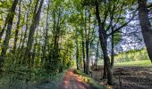 Trail Walking Notre-Dame-de-Boisset - etang d'arcon-10 km - Photo 5