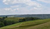 Tour Wandern Pepinster - 20230612 - Cornesse 5.9 Km - Photo 19