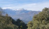 Randonnée Marche Caixas - Fontcouverte Mont-Helena Chapelle Saint-Marc Boucle - Photo 3