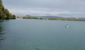 Trail Electric bike Doussard - tour du lac d Annecy  - Photo 1
