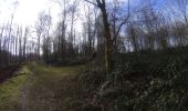 Tocht Mountainbike Ham-sur-Heure-Nalinnes - Ham_sur_Heure_Nalinnes_20220313_081531 (1) - Photo 3