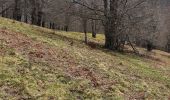 Trail Walking Ferrère - départ Ferrere , Ourde sortie du bois Douly redescende normale rando perso avec Michelle - Photo 4